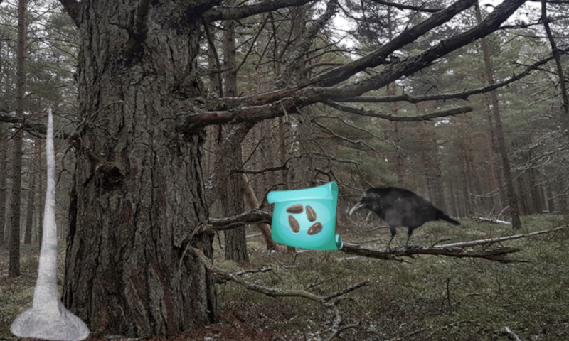 Return To The Frozen Forest